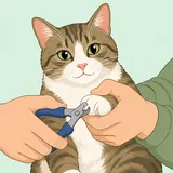 Illustration av hur du klipper kattens klor